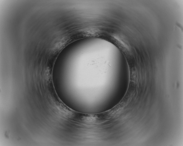 X0000091540318200708171250