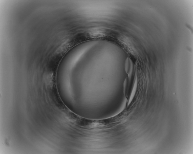 X0000091540319200708171250