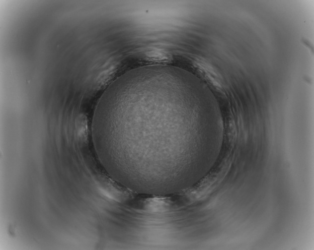 X0000091540320200708171250