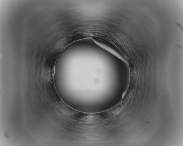 X0000091540323200708171250