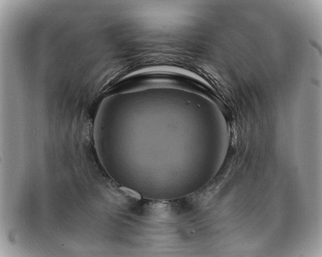 X0000091540325200708171250