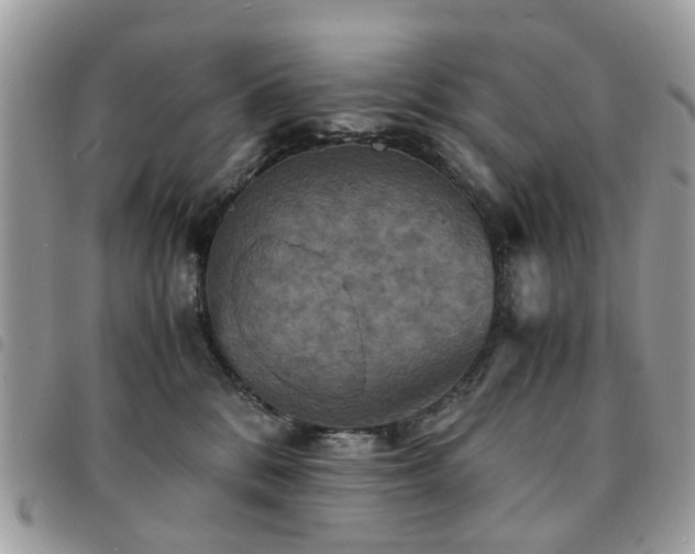 X0000091540328200708171250