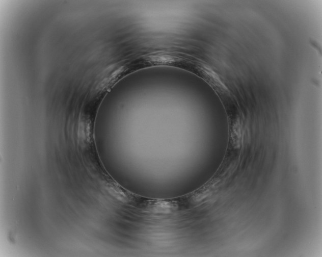 X0000091540330200708171250