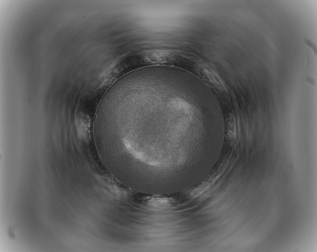 X0000091540332200708171250