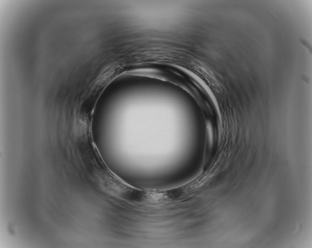 X0000091540333200708171250