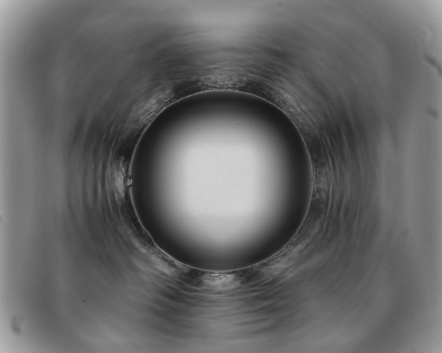 X0000091540334200708171250