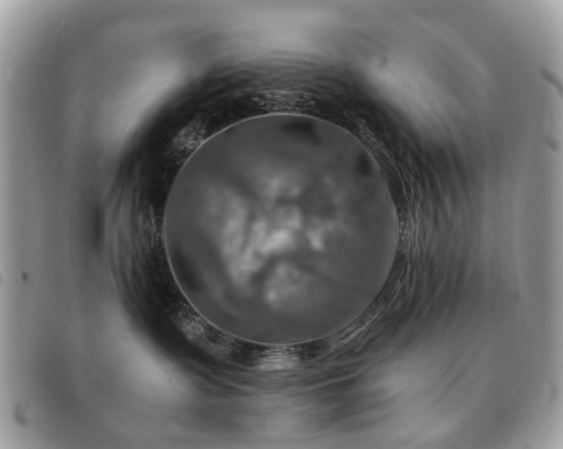 X0000091540335200708171250