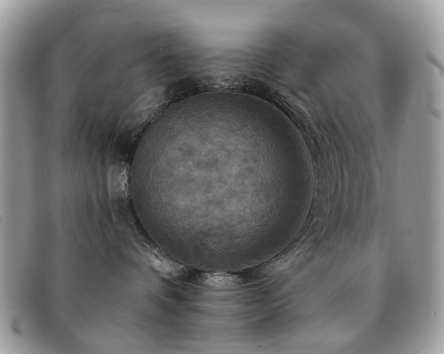 X0000091540336200708171250