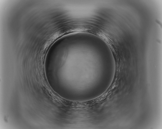 X0000091540337200708171249