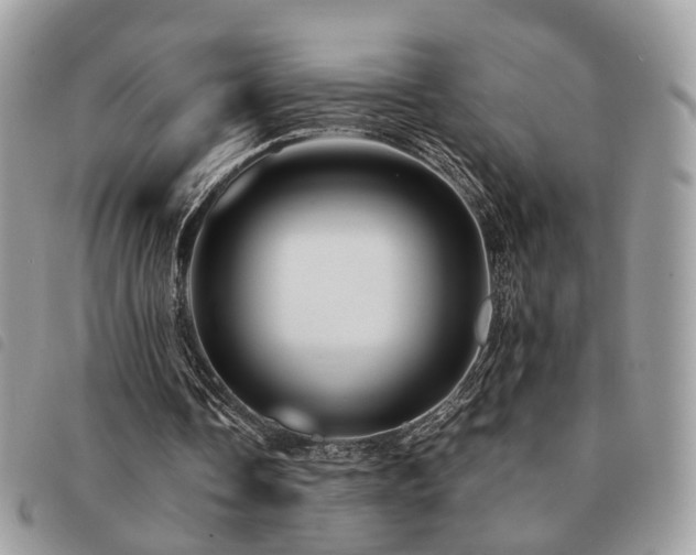 X0000091540338200708171249