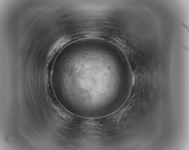 X0000091540339200708171249