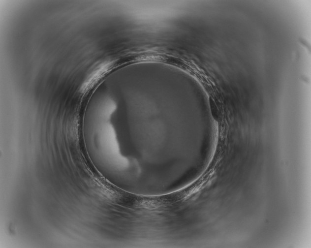 X0000091540341200708171249