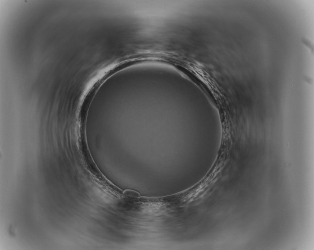 X0000091540342200708171249