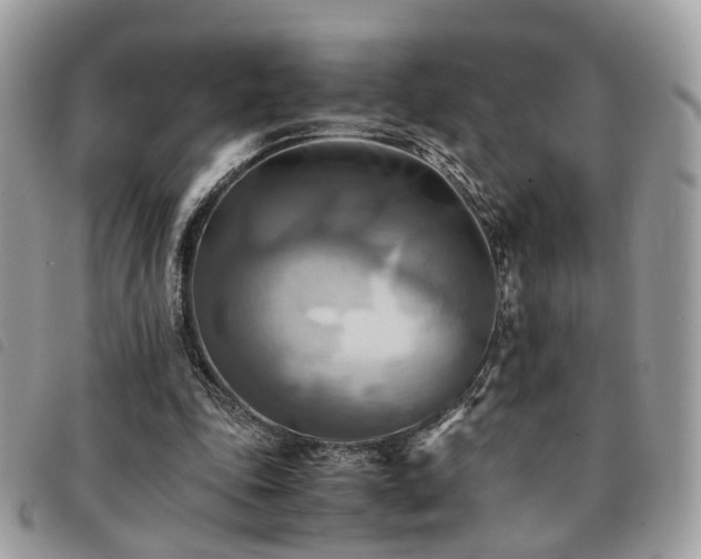 X0000091540343200708171249