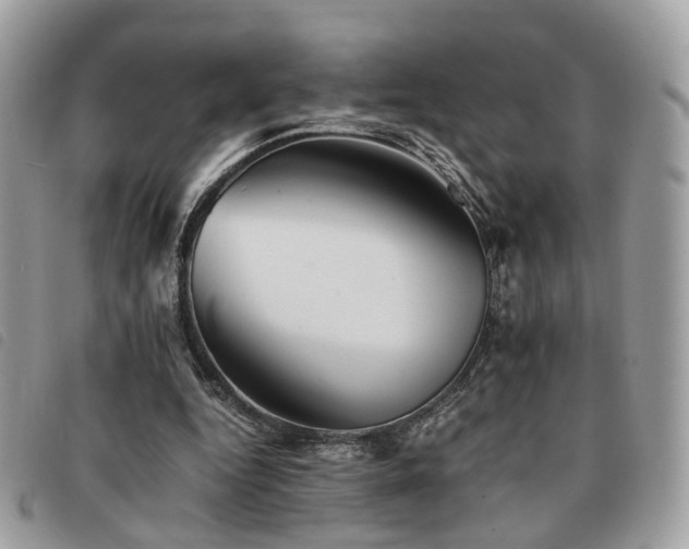 X0000091540344200708171249