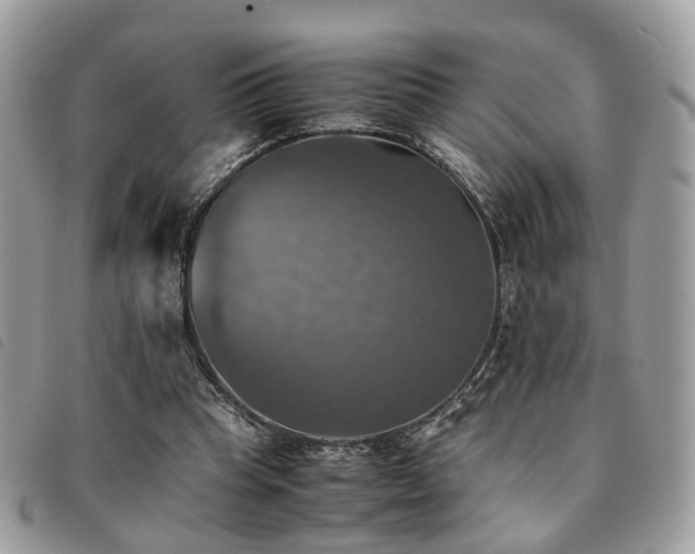 X0000091540345200708171249