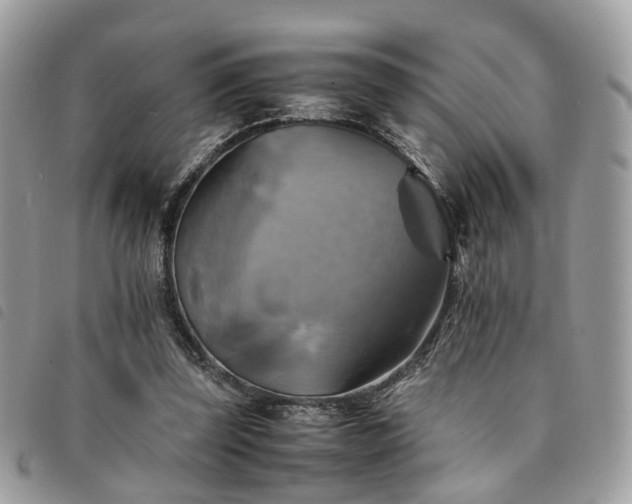 X0000091540347200708171249