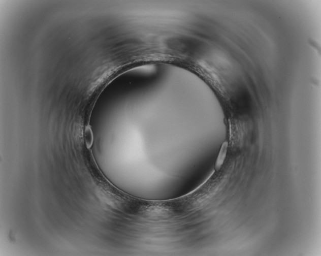 X0000091540348200708171249