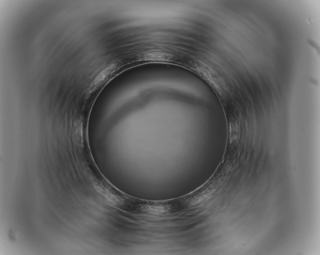 X0000091540349200708171249