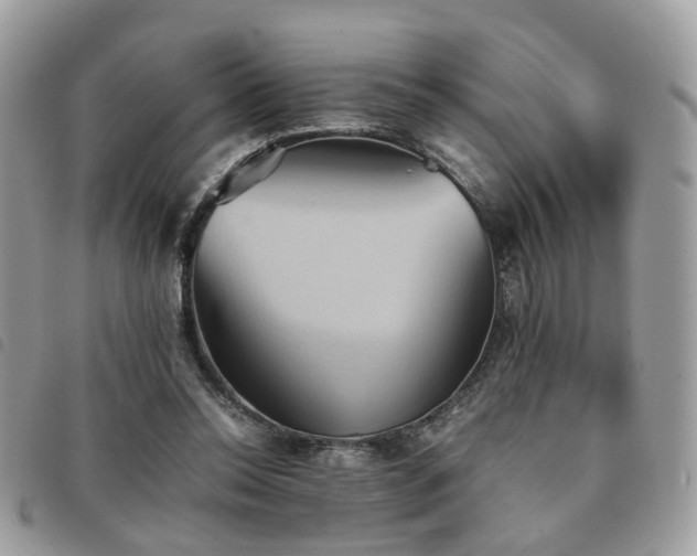 X0000091540350200708171249