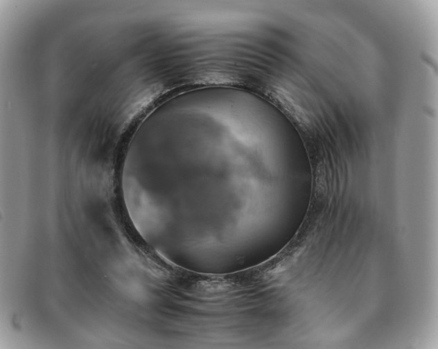X0000091540351200708171249