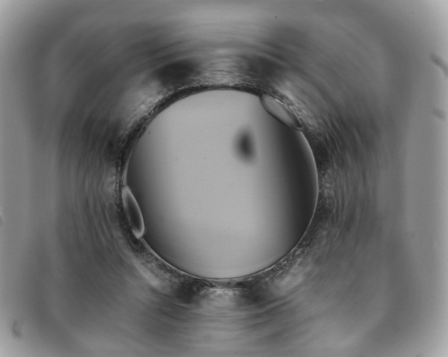 X0000091540352200708171249