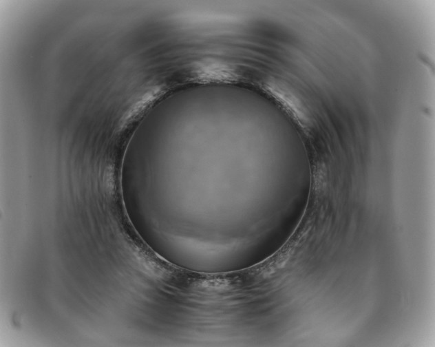 X0000091540353200708171249