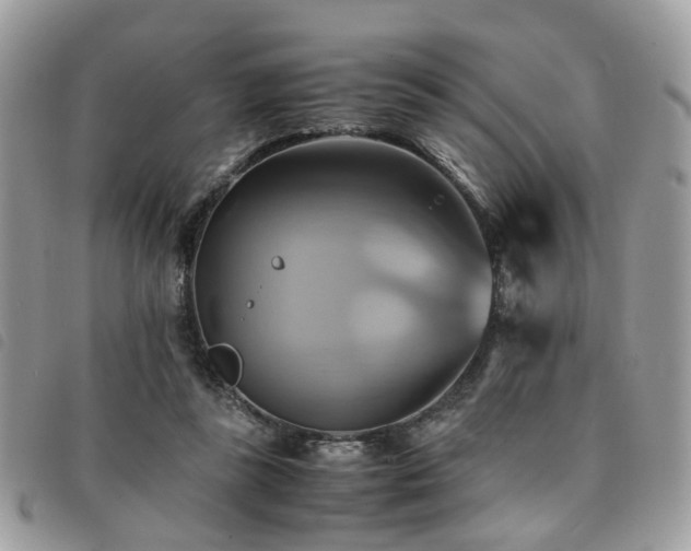 X0000091540355200708171249