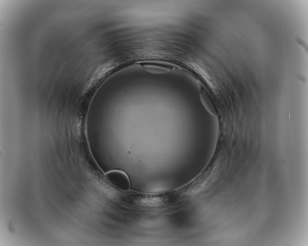 X0000091540357200708171249