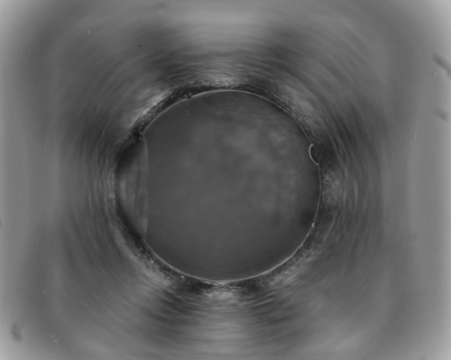 X0000091540358200708171249