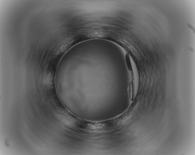 X0000091540359200708171249