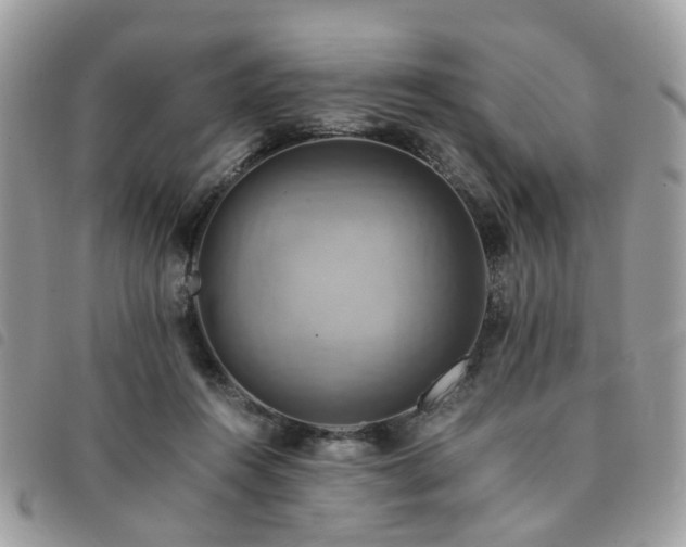 X0000091540360200708171249