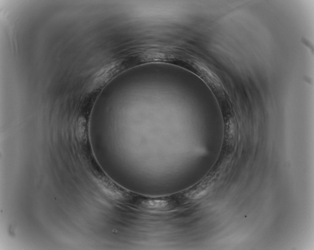 X0000091540361200708171249