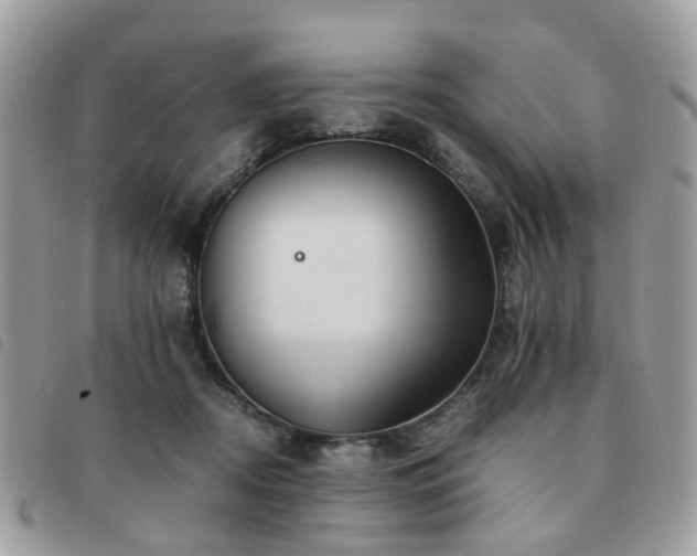 X0000091540362200708171249