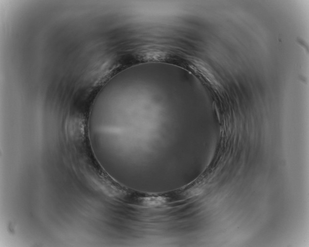 X0000091540363200708171249