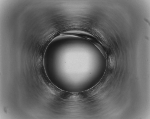 X0000091540364200708171249