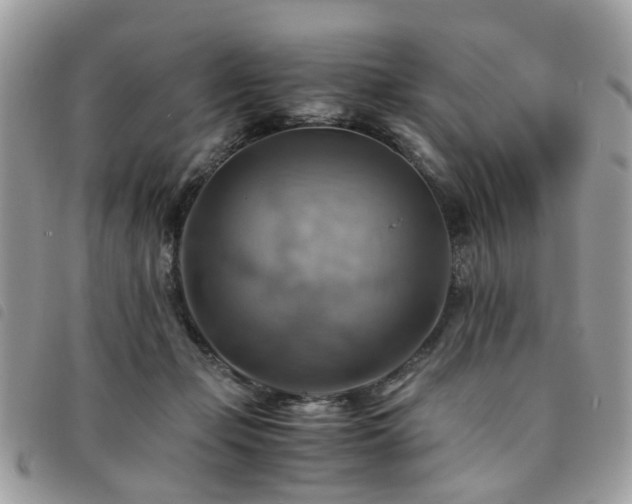 X0000091540365200708171249