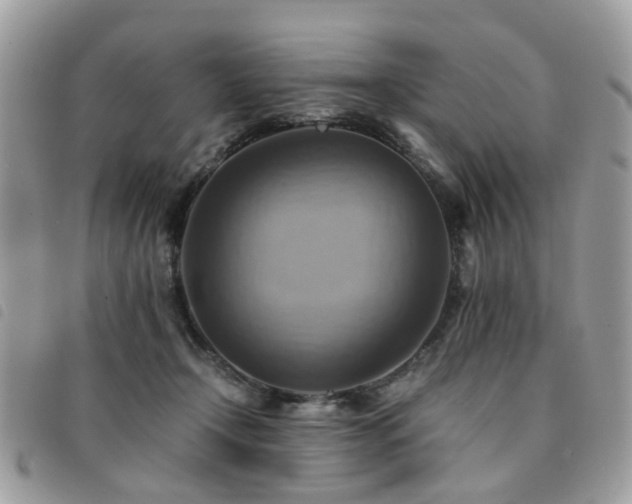 X0000091540366200708171249