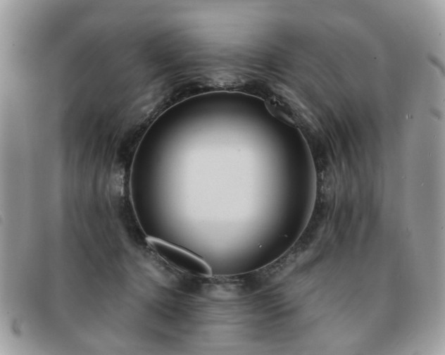 X0000091540368200708171249