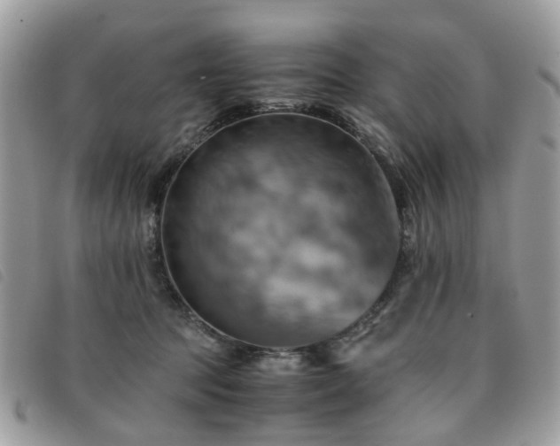 X0000091540369200708171249