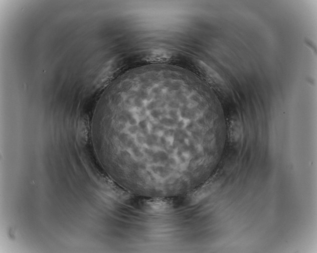 X0000091540370200708171249