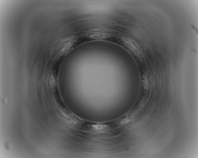 X0000091540371200708171249