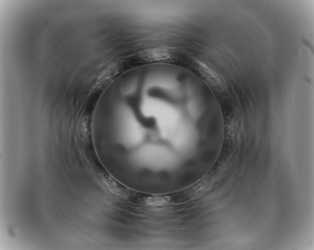 X0000091540373200708171249