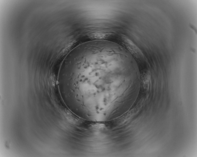 X0000091540374200708171249