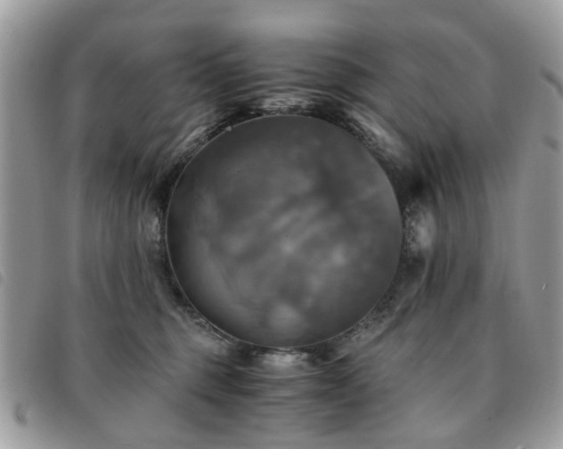 X0000091540375200708171249