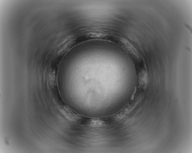X0000091540376200708171249