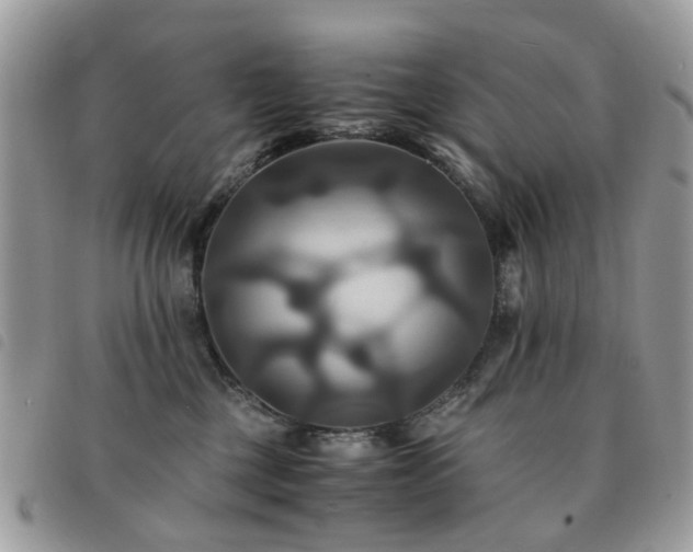 X0000091540377200708171249