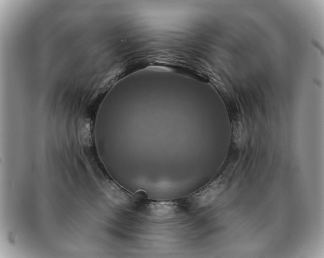 X0000091540378200708171249