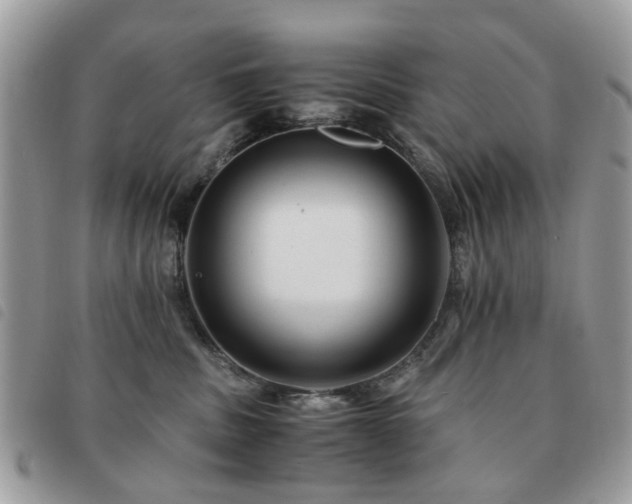 X0000091540379200708171249