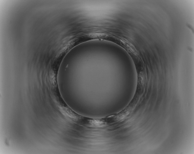 X0000091540380200708171249